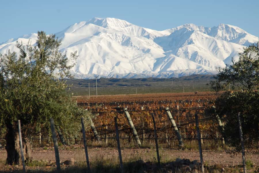 Valle de Uco: Private Full Day Wine Tour with 3-Course Lunch - The Valle de Uco winemaking logic you’ll taste immediately