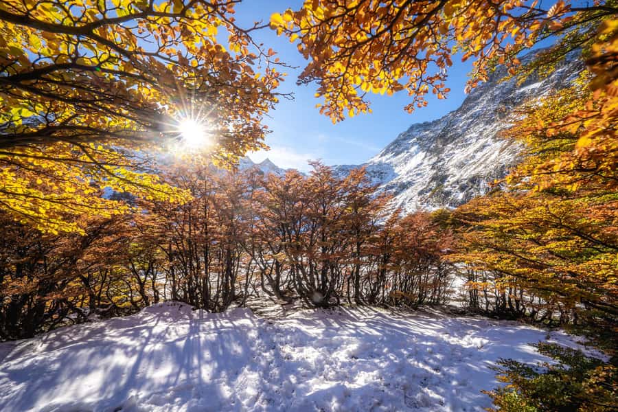 Vinciguerra Ice Experience - The steep forest section is where your pacing matters most