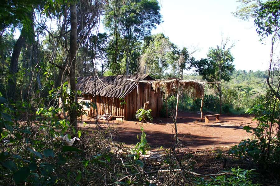 Visit Guarani village at Mborore Fort with brunch - The Spirit of Trees jungle walk (and how to enjoy it)