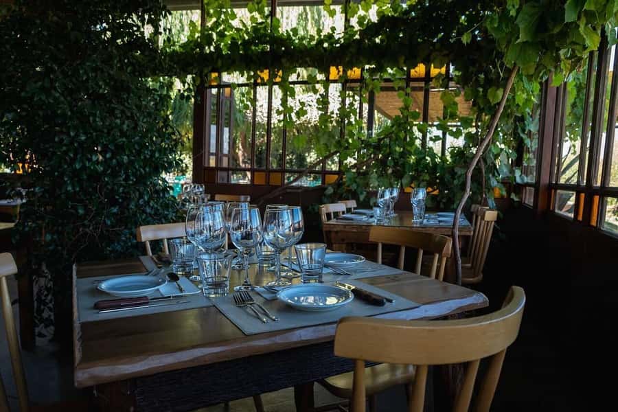 Visit & Tasting at Salentein + Lunch at La Azul - Salentein winery and vineyard visit, what you get on the ground