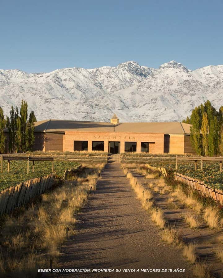 Visit & Tasting at Salentein + Lunch at La Azul - Transportation and guide languages, comfort that affects enjoyment