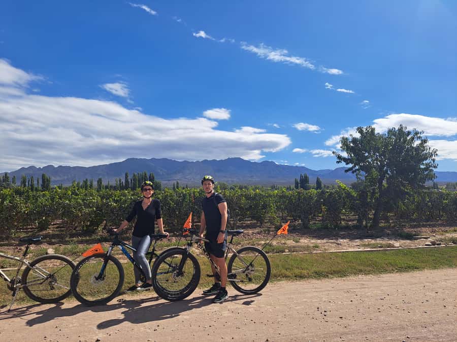 Wine and Chocolate Bike Tour: ride, taste, lunch, vineyards. - Key highlights worth getting excited about