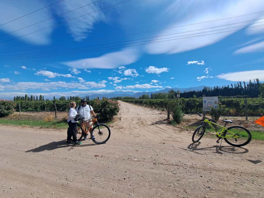 Wine and Chocolate Bike Tour: ride, taste, lunch, vineyards. - Who should book this Mendoza bike and chocolate wine tour