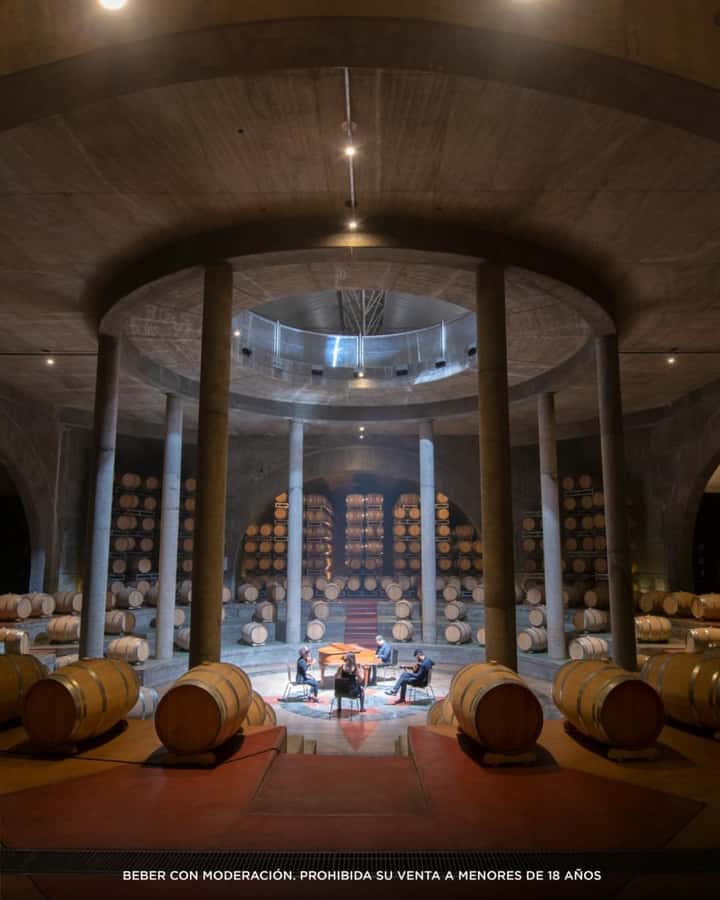 Wine Icons: Meet Salentein at the heart of Uco Valley - Key highlights worth your attention
