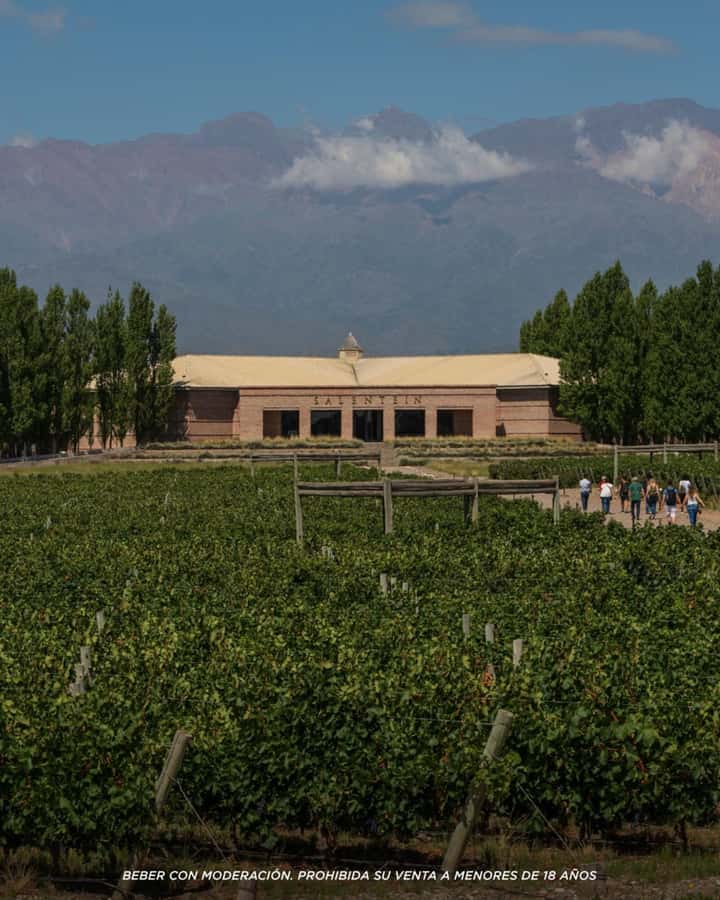 Wine Icons: Meet Salentein at the heart of Uco Valley - Who this is best for, and who should pass