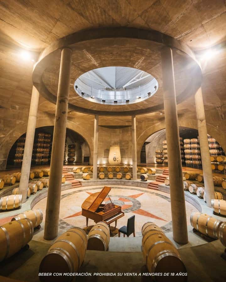 Wine Icons: Meet Salentein at the heart of Uco Valley - Uco Valley first: why this Salentein day feels different