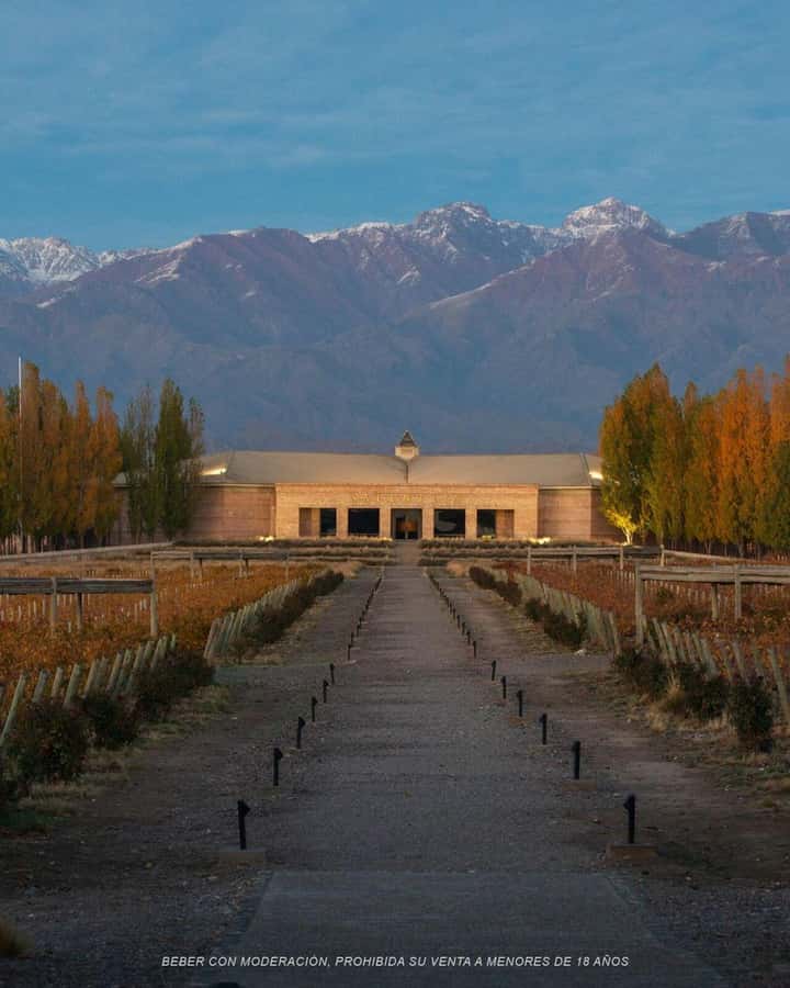 Wine Icons: Meet Salentein at the heart of Uco Valley - Touring the winery and vineyard spaces without feeling rushed