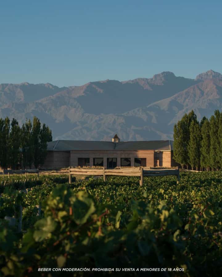 Wine Icons: Meet Salentein at the heart of Uco Valley - Optional lunch and tailoring the day to your pace