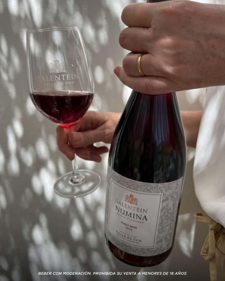 Wine Icons: Meet Salentein at the heart of Uco Valley - Price and value: what $160 per person is really buying