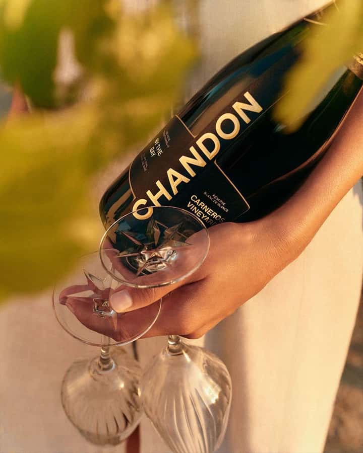 Wine Icons: Meet the sparkling world of Chandon - Should You Book This Tour at Bodega Chandon?