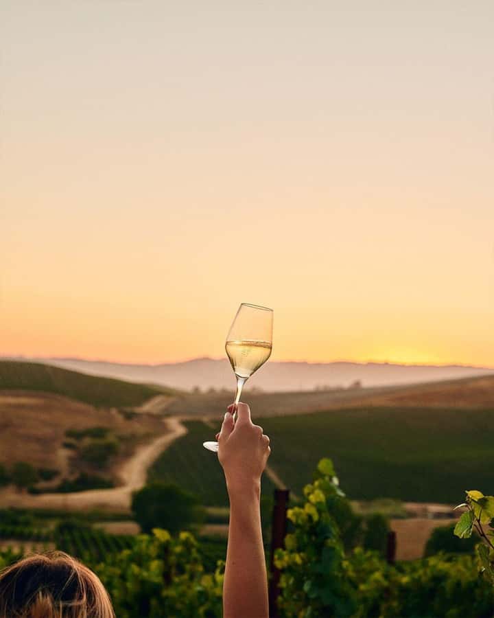 Wine Icons: Meet the sparkling world of Chandon - Tanks and Cava, Where Sparkling Wine Gets Its Personality