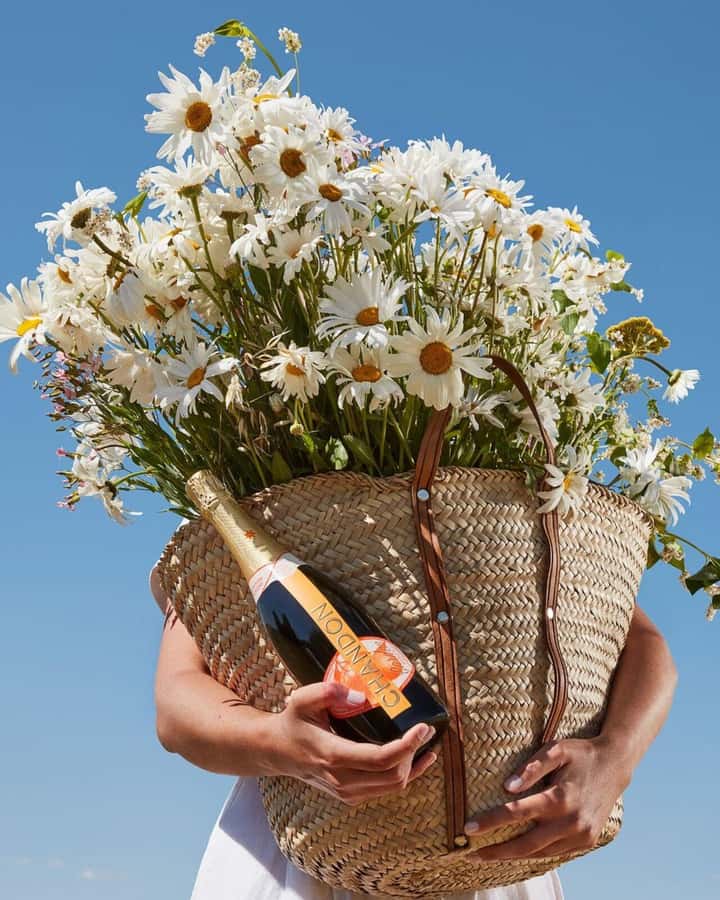 Wine Icons: Meet the sparkling world of Chandon - The Premium Tasting Flight, Four Wines and Food Pairings That Actually Help