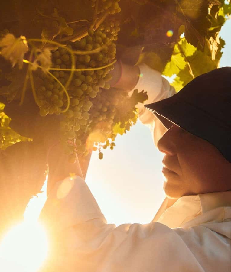 Wine Icons: Meet the sparkling world of Chandon - What to Expect on the Day, Small Details That Matter