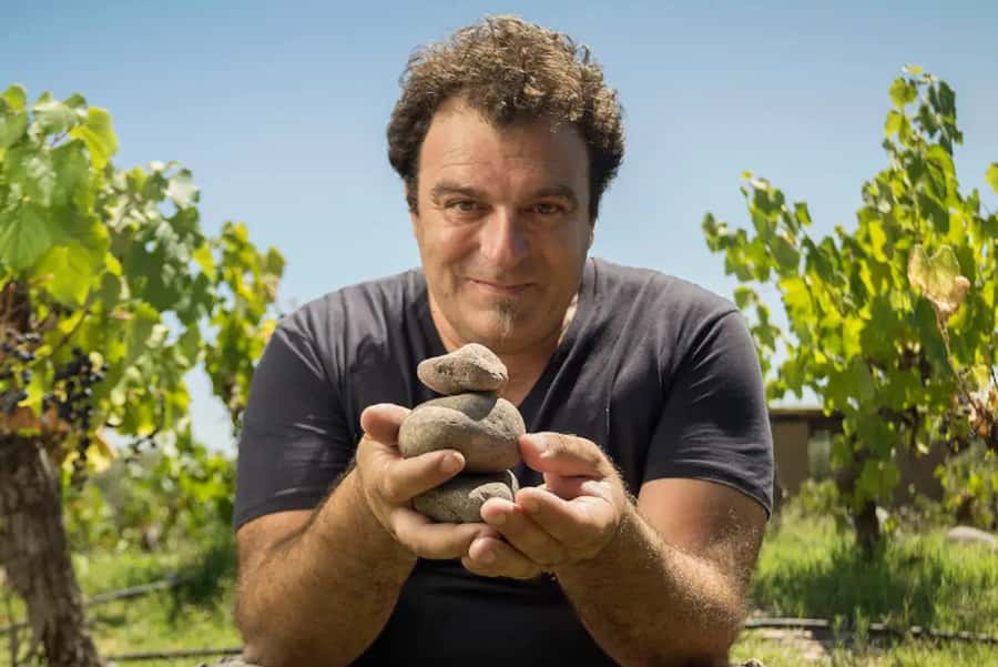 Wine Idols: Meet El Enemigo by Alejandro Vigil - Mendoza pickup and how the timing actually feels