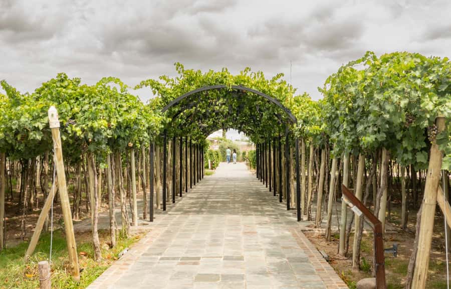 Wine Idols: Meet El Enemigo by Alejandro Vigil - The three-step lunch at Casa Vigil, and how to make it worth your appetite