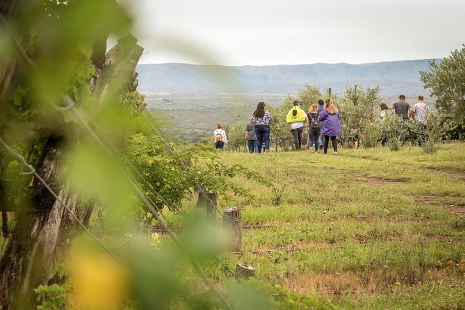 Wine Tour Privado a Calamuchita, Córdoba - Argentina - Meeting the people behind the bottles: owners, enóloga, and real answers