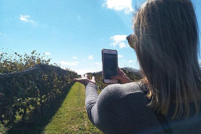 Wine Tour Privado a Calamuchita, Córdoba - Argentina - Inside a boutique winery: tasting, food, and the vineyard setting