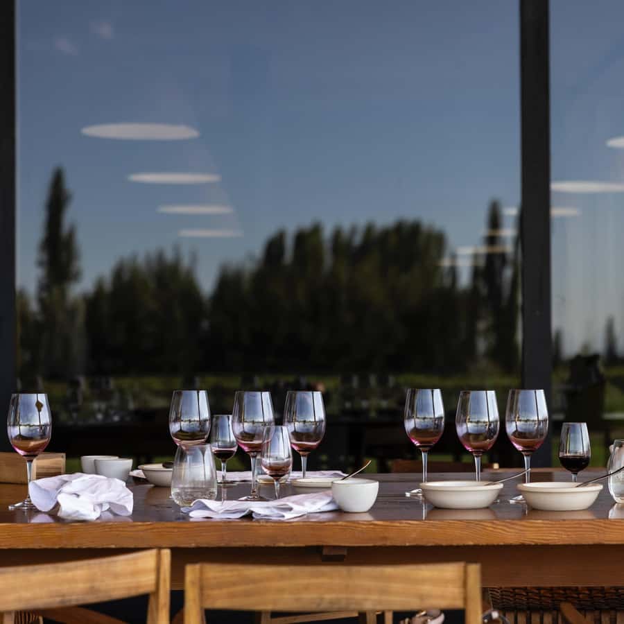 Zuccardi Full Paired Lunch at Piedra Infinita in Uco Valley - The Guide and Service Pace: What You Can Expect Day to Day