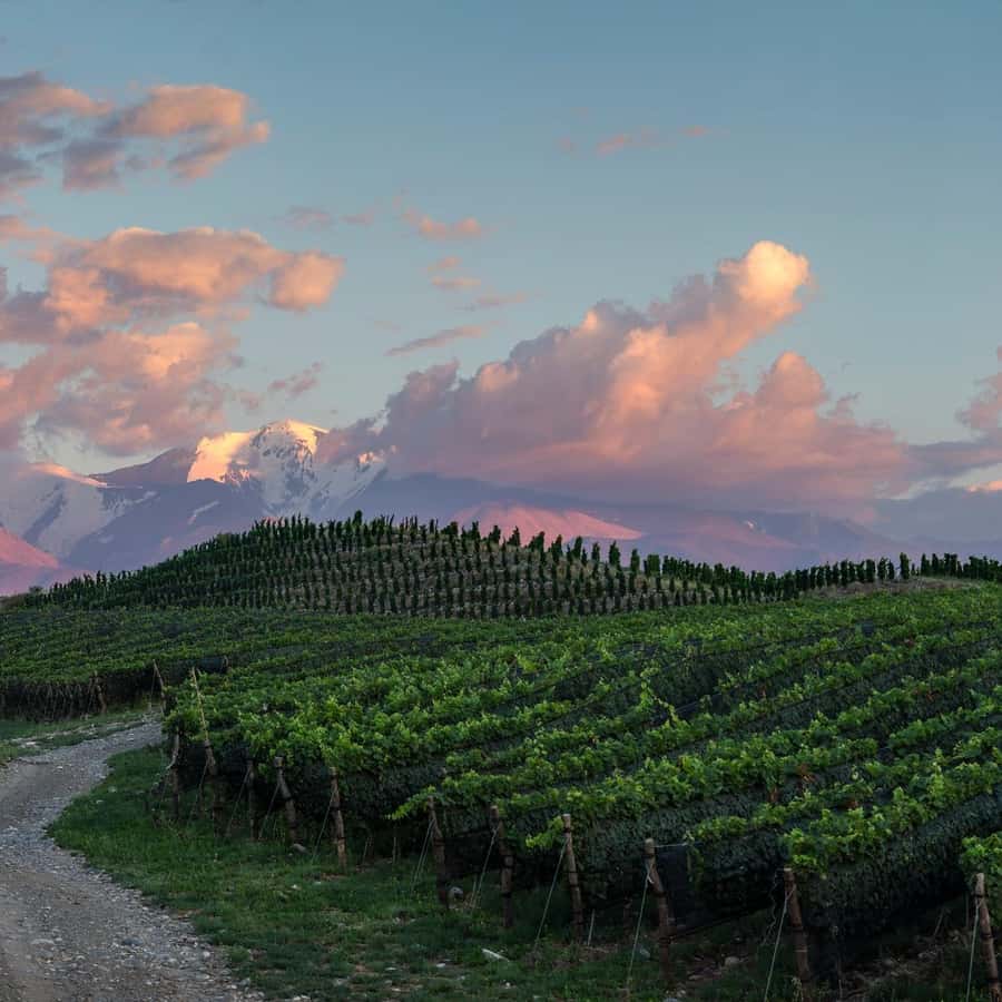Zuccardi Full Paired Lunch at Piedra Infinita in Uco Valley - Price and Value: Is $266 Per Person Fair for What You Get?