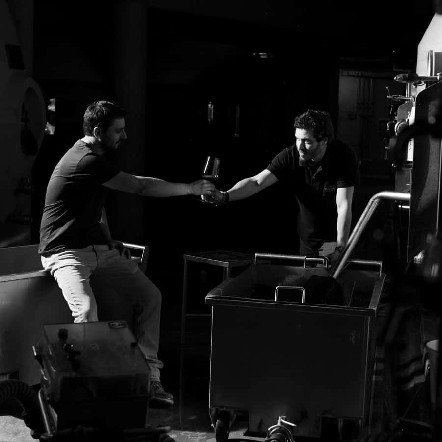 Zuccardi Legacy: A Journey Through Uco Valley’s Finest - Underground cave tour: why this part feels different